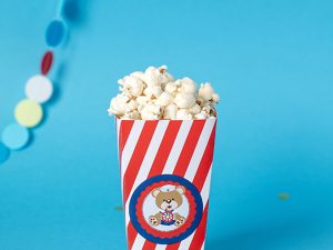 Teddy Sailor Popcorn Kutular