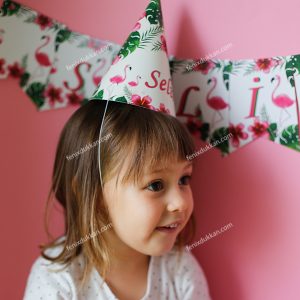 Flamingo Parti Şapkaları