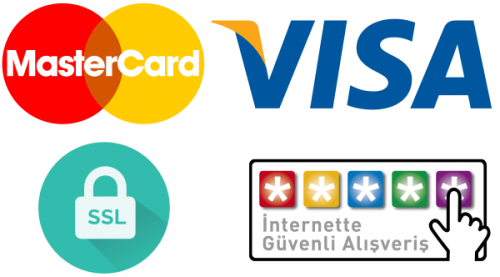 master-visa-ssl-500x277