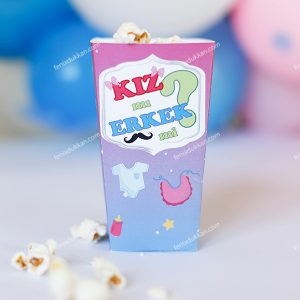 Cinsiyet Partisi He or She Popcorn Kutuları