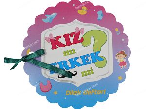 Cinsiyet Partisi HE or SHE Dilek Defteri