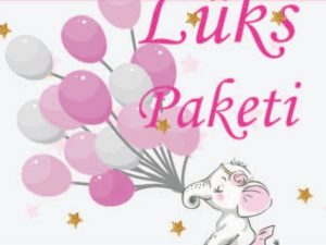 Sweet elephant BABY SHOWER PARTY BOX