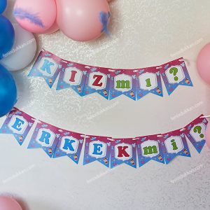 Cinsiyet Partisi HE or SHE Bayraklar