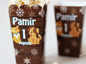 Cat & Dog Popcorn Kutuları