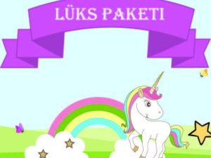 Unicorn Rainbow PARTY BOX