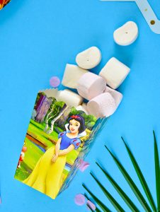 Pamuk Prenses Popcorn Kutuları