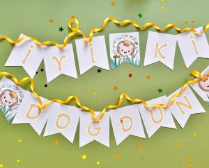 Little King Bayraklar