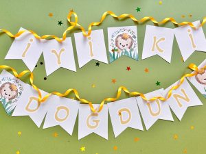 Little King Bayraklar