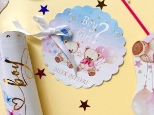 Cinsiyet Partisi Boy? Girl? Dilek Defteri