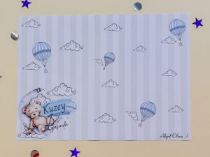 Teddy Moon Amerikan Servis