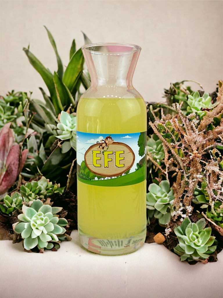 Photoroom_20240218_014858