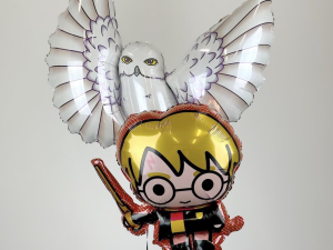 HARRY POTTER BAYKUŞ FOLYO BALON