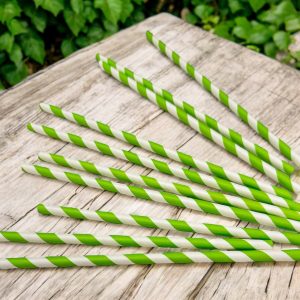 Beyaz Yeşil Şeritli Pipet