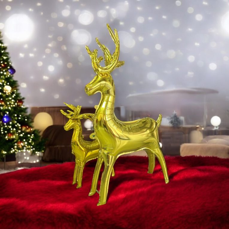 Photoroom_20241217_173448