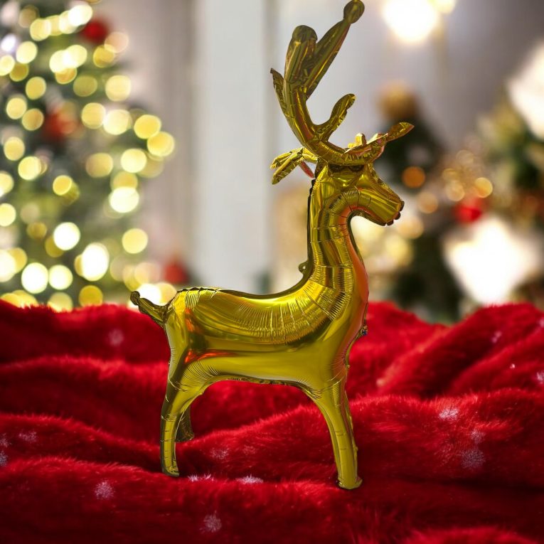 Photoroom_20241217_173629