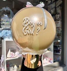 "Boy or Girl? Cinsiyet Partisi Sürpriz Balonu"